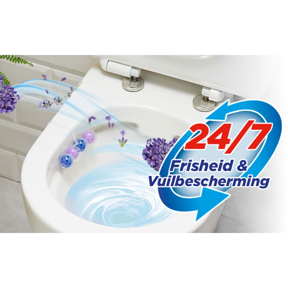 Witte Reus Lavendel 50 gr 3