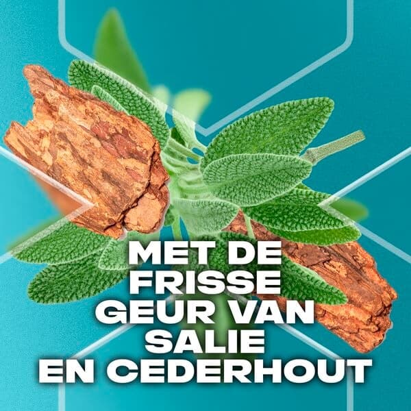 Axe Douchegel Apollo 250 ml 2