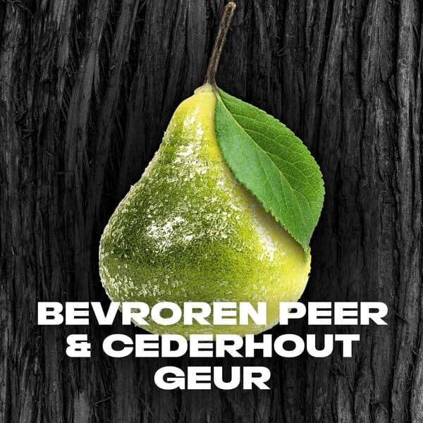 Axe Douchegel Black 250 ml 4